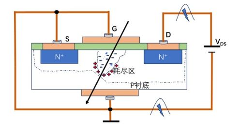 电力电子元器件空间辐射单粒子效应考核 挑战、方法与展望